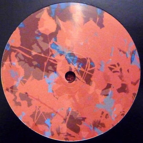 Black Sonix & Selina Campbell : Thank You (12")