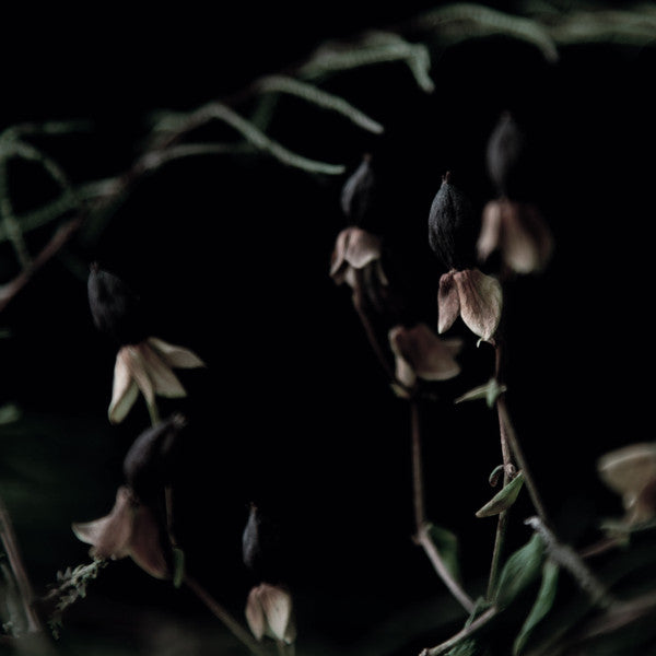 Foehn & Jerome, The Unwanted (8) : UNTLD099 (12", EP)