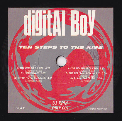 Digital Boy : Ten Steps To The Rise (2xLP, Album)