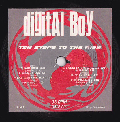 Digital Boy : Ten Steps To The Rise (2xLP, Album)