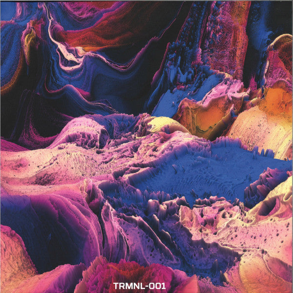 East End Dubs : What's Goin On (12", Pur)