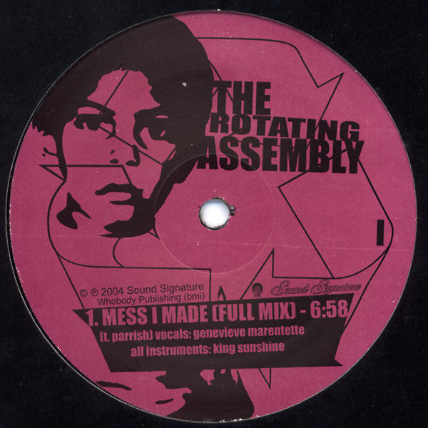 The Rotating Assembly : Natural Aspirations -The 12" Series- (12")