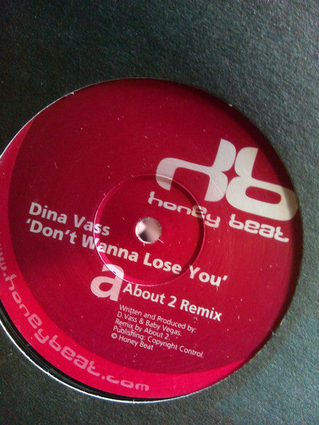 Dina Vass : Don't Wanna Lose You (12")