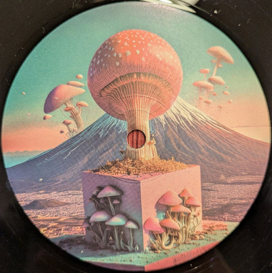 V.I.C.A.R.I. : Vesuvio EP (12")