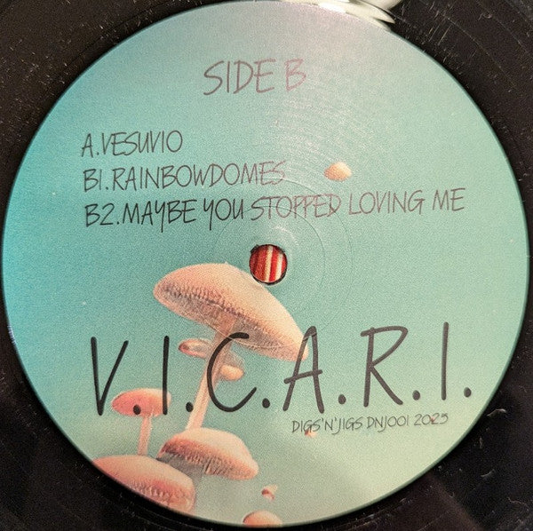 V.I.C.A.R.I. : Vesuvio EP (12")