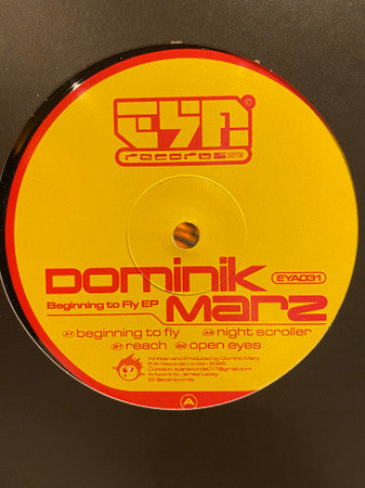 Dominik Marz : Beginning To Fly Ep (12")