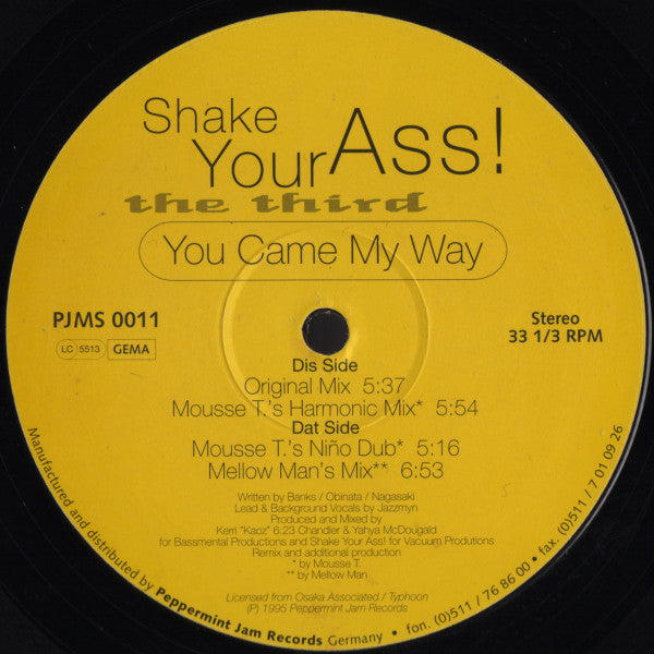 Shake Your Ass! : The Third - You Came My Way (12")