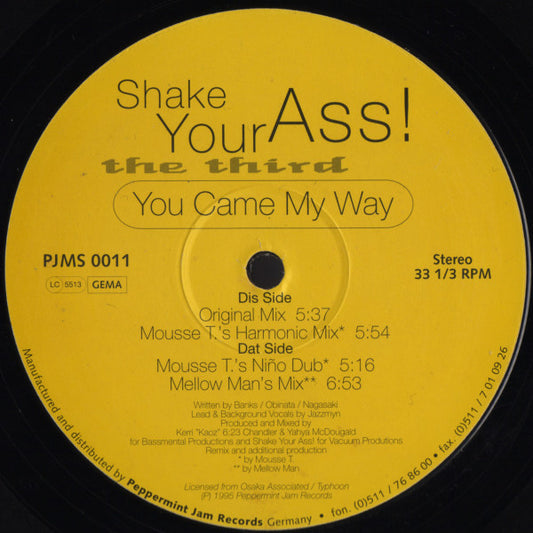 Shake Your Ass! : The Third - You Came My Way (12")