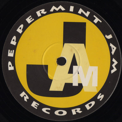 Shake Your Ass! : The Third - You Came My Way (12")