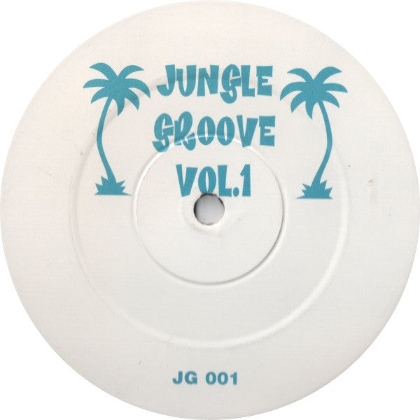 DJ Massive : Jungle Groove Vol.1 (12", EP)