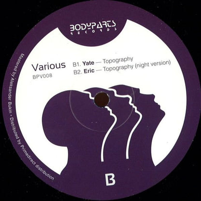 Various : v.2 (12")