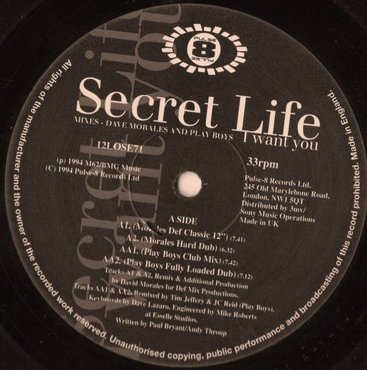 Secret Life : I Want You (12", Single)