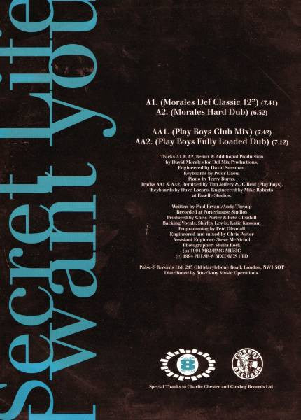 Secret Life : I Want You (12", Single)