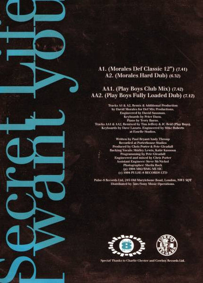 Secret Life : I Want You (12", Single)