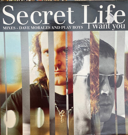 Secret Life : I Want You (12", Single)