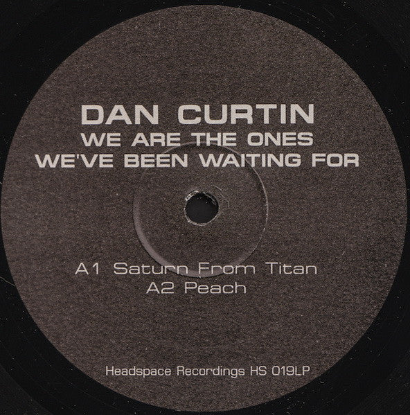 Dan Curtin : We Are The Ones We've Been Waiting For (2xLP, Album)