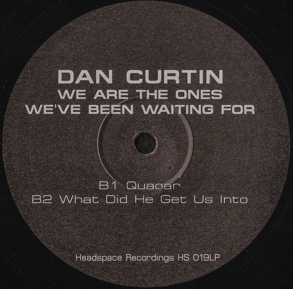 Dan Curtin : We Are The Ones We've Been Waiting For (2xLP, Album)