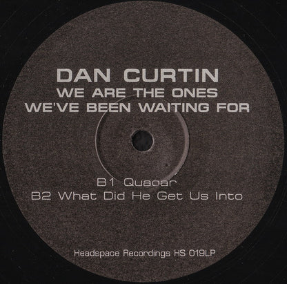 Dan Curtin : We Are The Ones We've Been Waiting For (2xLP, Album)