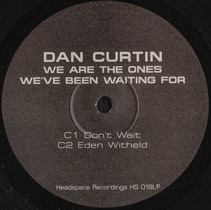 Dan Curtin : We Are The Ones We've Been Waiting For (2xLP, Album)