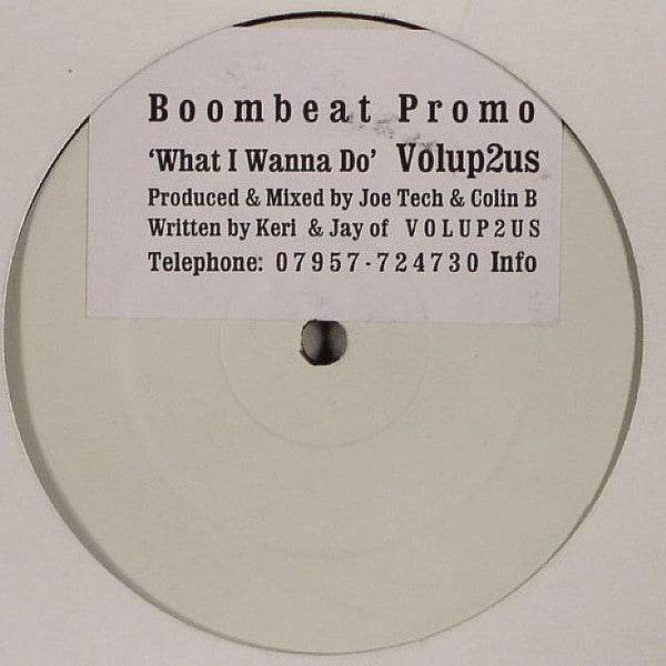 Volup2us : What I Wanna Do (12", Promo, W/Lbl, Sti)