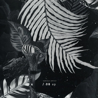 Various : 008 Ep (12", EP)