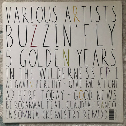 Various : Buzzin' Fly - 5 Golden Years In The Wilderness EP 1 (12", EP)