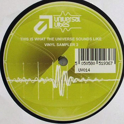 Various : This Is What The Universe Sounds Like Vinyl Sampler 2 (12", Smplr)