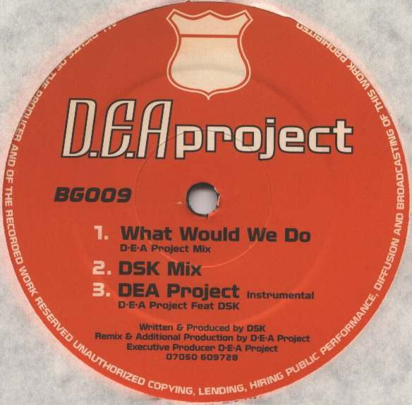 DSK : What Would We Do (12")