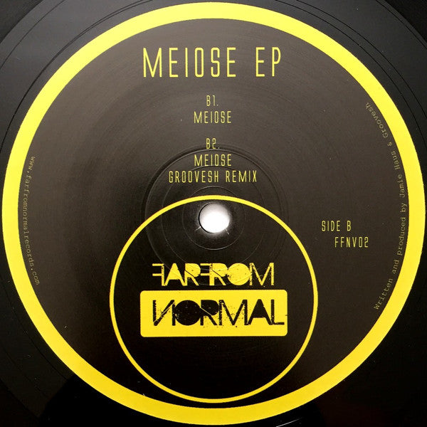 Jamie Haus : Meiose EP (12", EP)